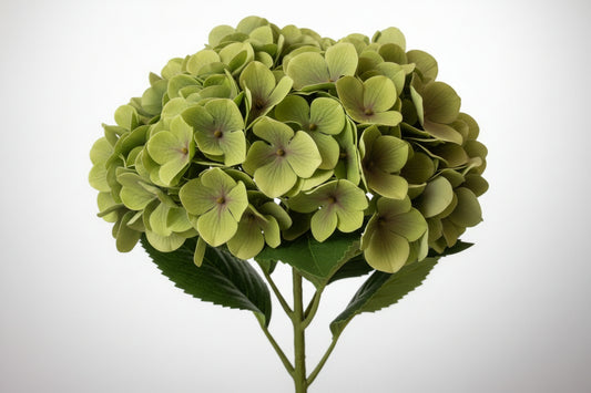 24" Artificial Hydrangea Long-stem bouquet with silk flowers and green leaves. Create your own silk floral design with tall beautiful flowers.