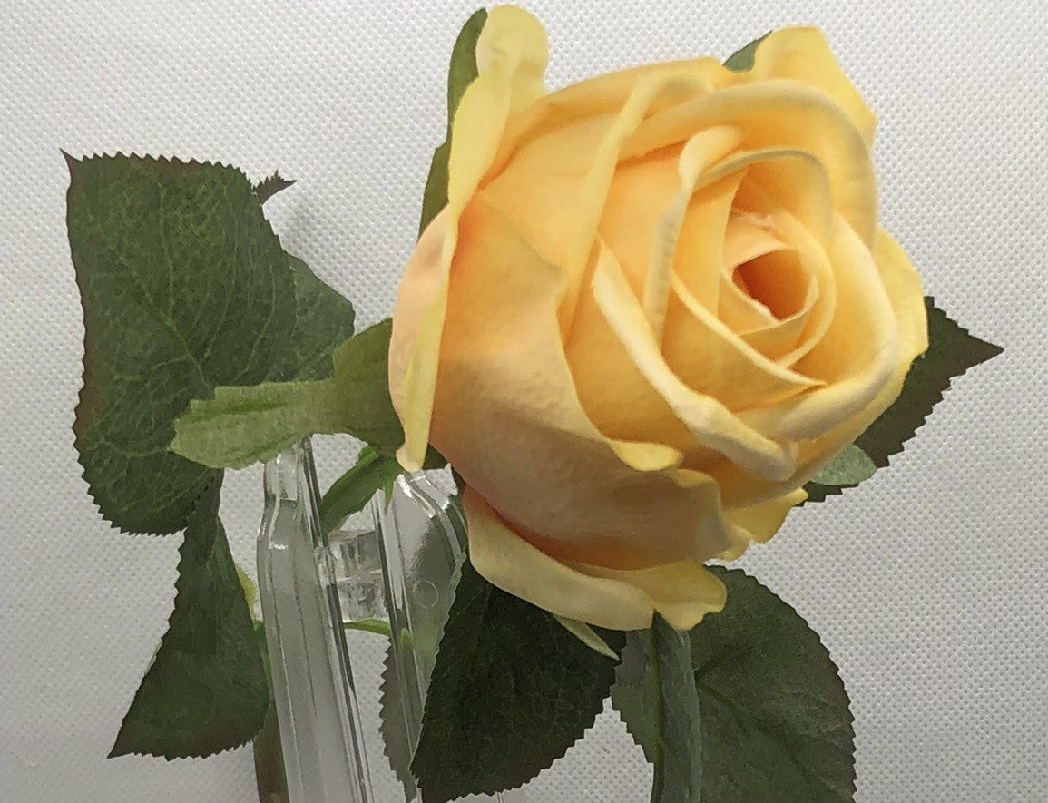 Artificial Rose Long-stem bouquet with silk flowers and green leaves are 24" tall.