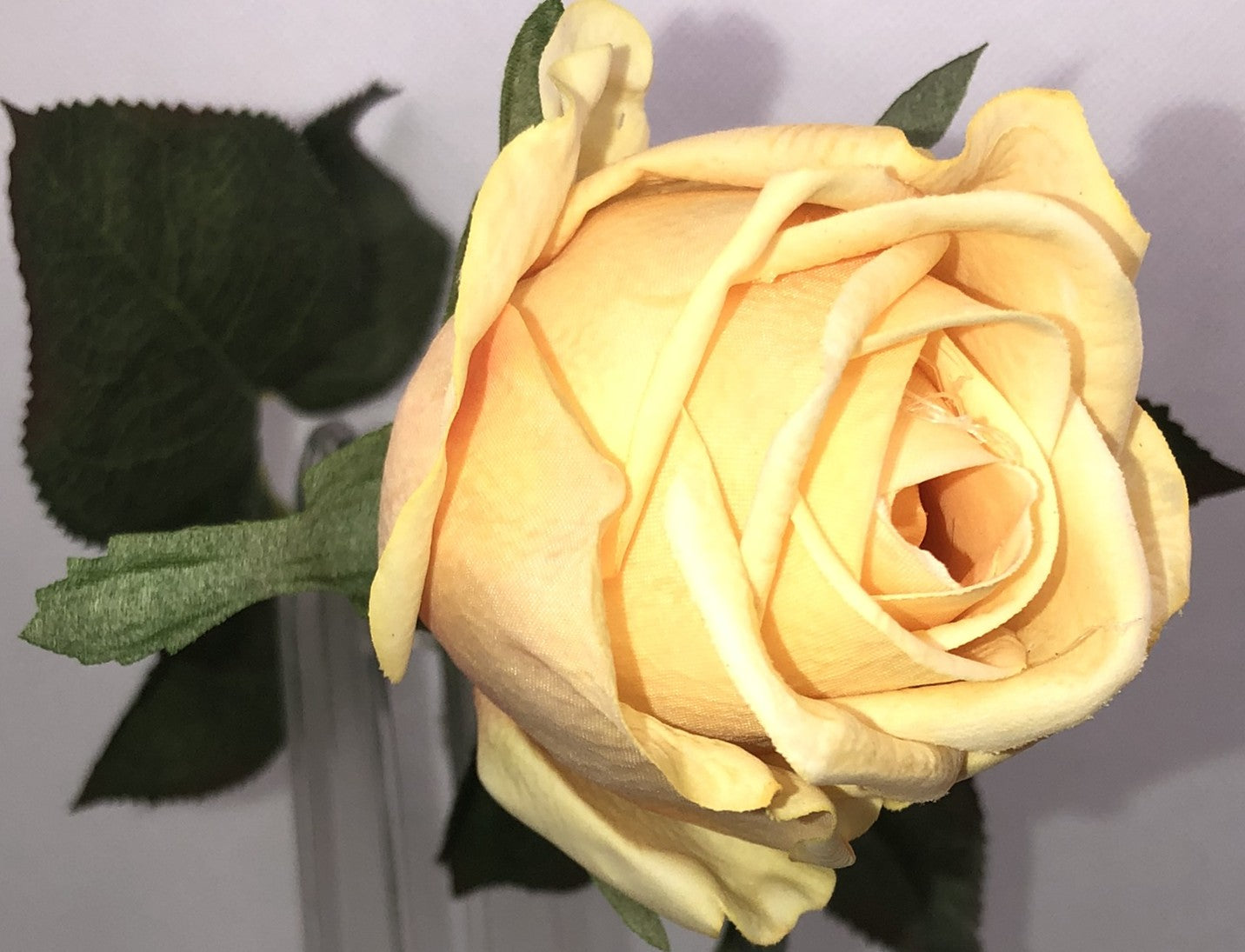 Artificial Rose Long-stem bouquet with silk flowers and green leaves are 24" tall.