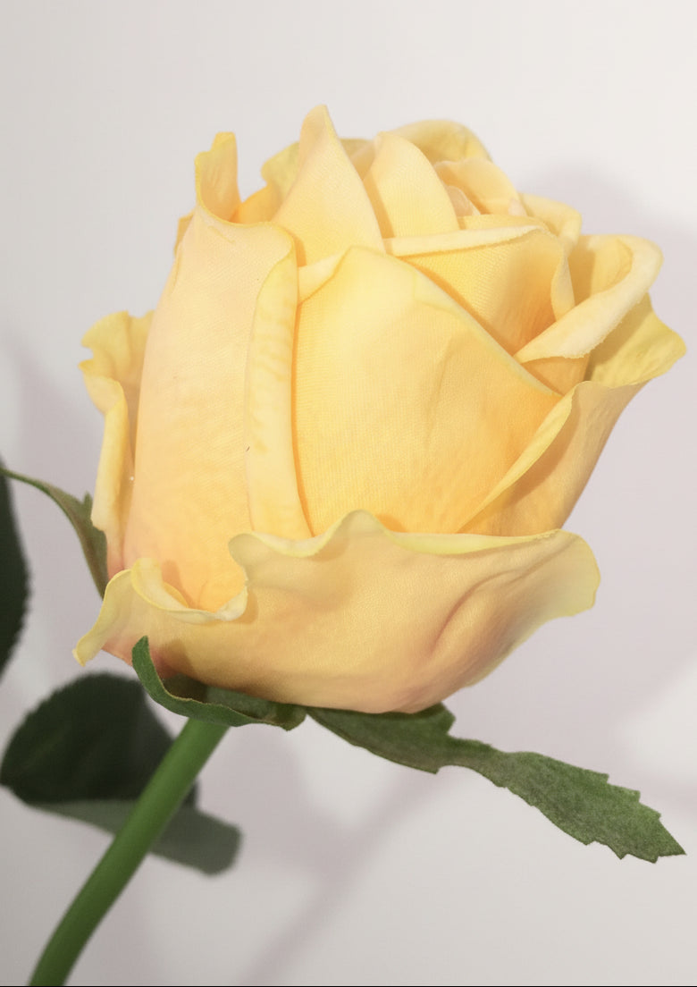 Artificial Rose Long-stem bouquet with silk flowers and green leaves are 24" tall.