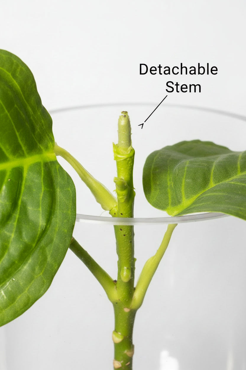 Artificial hydrangea long-stem silk floral. 20.8" Real touch with detachable stem.